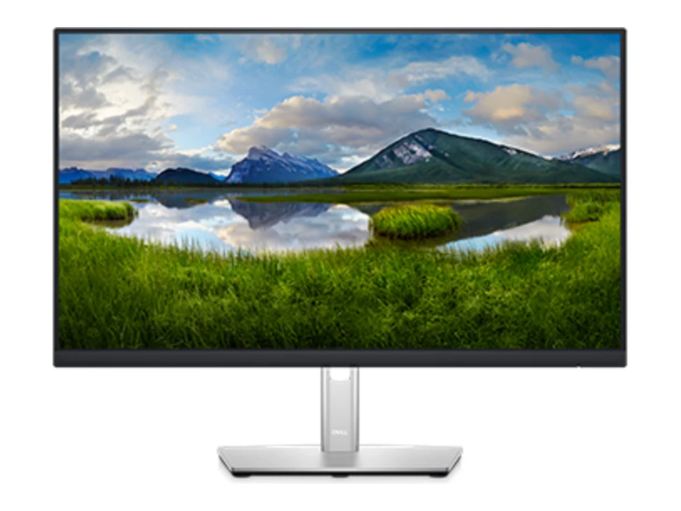 Dell P2422HE